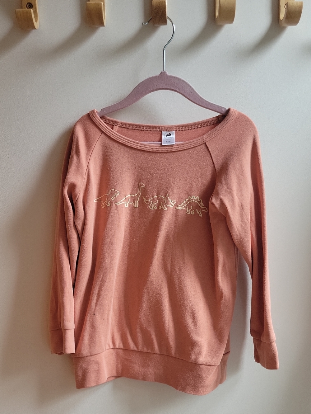 Little & Lively Salmon Color Dinosaur Pullover 5/6years